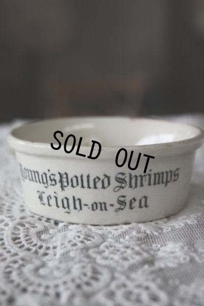 画像1: お買い得　英国アンティーク　シュリンプ　ポット　young's morecambe potted shrimps　ロゴが素敵です　1900年代初期　イギリス製