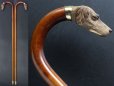 画像12: 極細密彫刻 木彫り猟犬ハンドル ガラス義眼 英国アンティーク 大曲り型 ステッキ マラッカ籐 シャフト 全長91cm 極上品