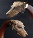画像9: 極細密彫刻 木彫り猟犬ハンドル ガラス義眼 英国アンティーク 大曲り型 ステッキ マラッカ籐 シャフト 全長91cm 極上品