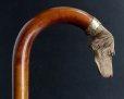 画像3: 極細密彫刻 木彫り猟犬ハンドル ガラス義眼 英国アンティーク 大曲り型 ステッキ マラッカ籐 シャフト 全長91cm 極上品