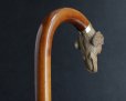 画像4: 極細密彫刻 木彫り猟犬ハンドル ガラス義眼 英国アンティーク 大曲り型 ステッキ マラッカ籐 シャフト 全長91cm 極上品