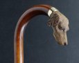 画像2: 極細密彫刻 木彫り猟犬ハンドル ガラス義眼 英国アンティーク 大曲り型 ステッキ マラッカ籐 シャフト 全長91cm 極上品