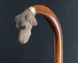 画像6: 極細密彫刻 木彫り猟犬ハンドル ガラス義眼 英国アンティーク 大曲り型 ステッキ マラッカ籐 シャフト 全長91cm 極上品