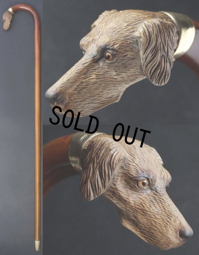 画像1: 極細密彫刻 木彫り猟犬ハンドル ガラス義眼 英国アンティーク 大曲り型 ステッキ マラッカ籐 シャフト 全長91cm 極上品