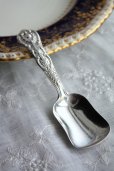 画像1: 希少　1845年　ヴィクトリアン　アンティークシルバー　純銀製　豪華肉厚クイーンズパターン　ティーキャディスプーン (1)