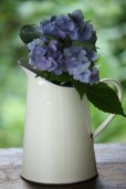 画像1: お買い得　1950年代　イギリス製　純白のホーロー　ブルーリム　ジャグ　花器としても最適です！　全高 21ｃｍ (1)