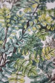 画像4: フランス製　アンティーク　樹木画　WEINMANNIA　手彩色仕上げ（Finished）枯れた台紙に浮かぶ美しい手書き色の樹木 49.5×34.2ｃｍ (4)
