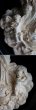 画像4: 1900年代中期　フランス製　聖母マリア　キリスト　大型　木製楕円額　オーバル型　レリーフ　ガラス無し　40.5cm (4)