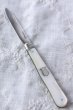 画像1: 1900年　英国シェフィールド　アンティークシルバー　マザーオブパール　純銀製　折り畳みナイフ　14ｃｍ　僅かに難有り　お買い得！ (1)