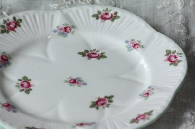 画像3: 美品　シェリー　ローズバット　ブレッドプレート　パン皿　15.4ｃｍ　散りばめた可憐な薔薇　1940〜1966年　英国製